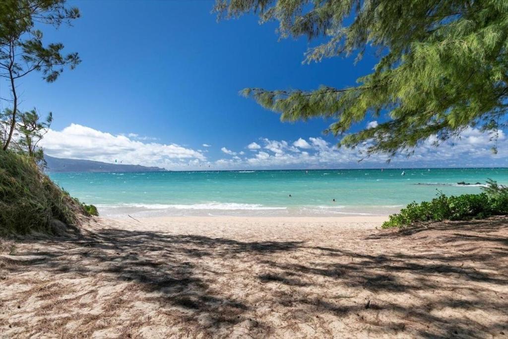 Unit 11 Maui Ohana Modern