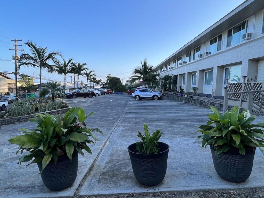 Apartment Unit 11 Maui Ohana Modern *